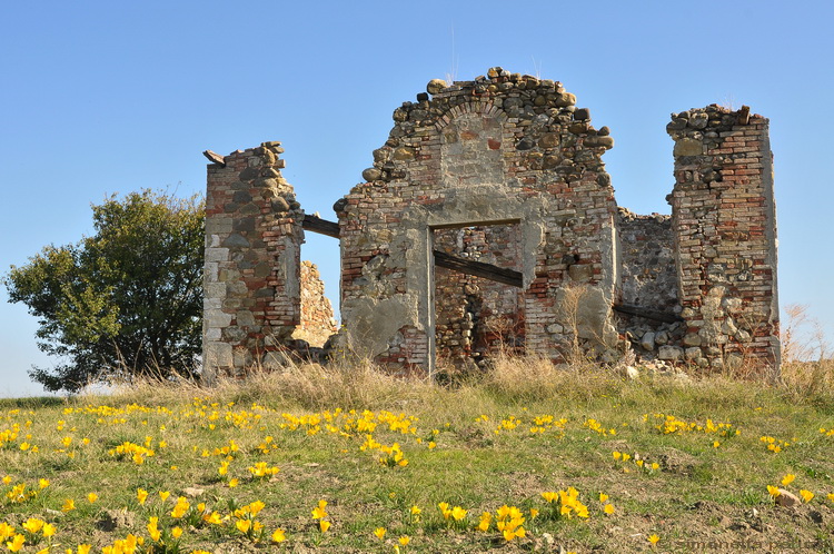 Ruderi in terra di Siena